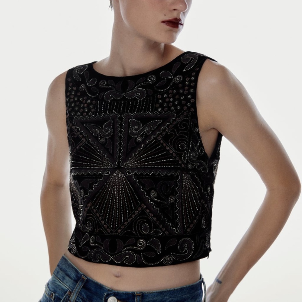 NWT Zara Embroidered Black Velvet Top